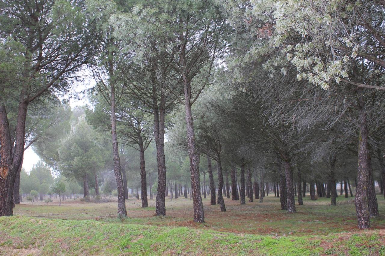 Las Gavias Matapozuelos Extérieur photo